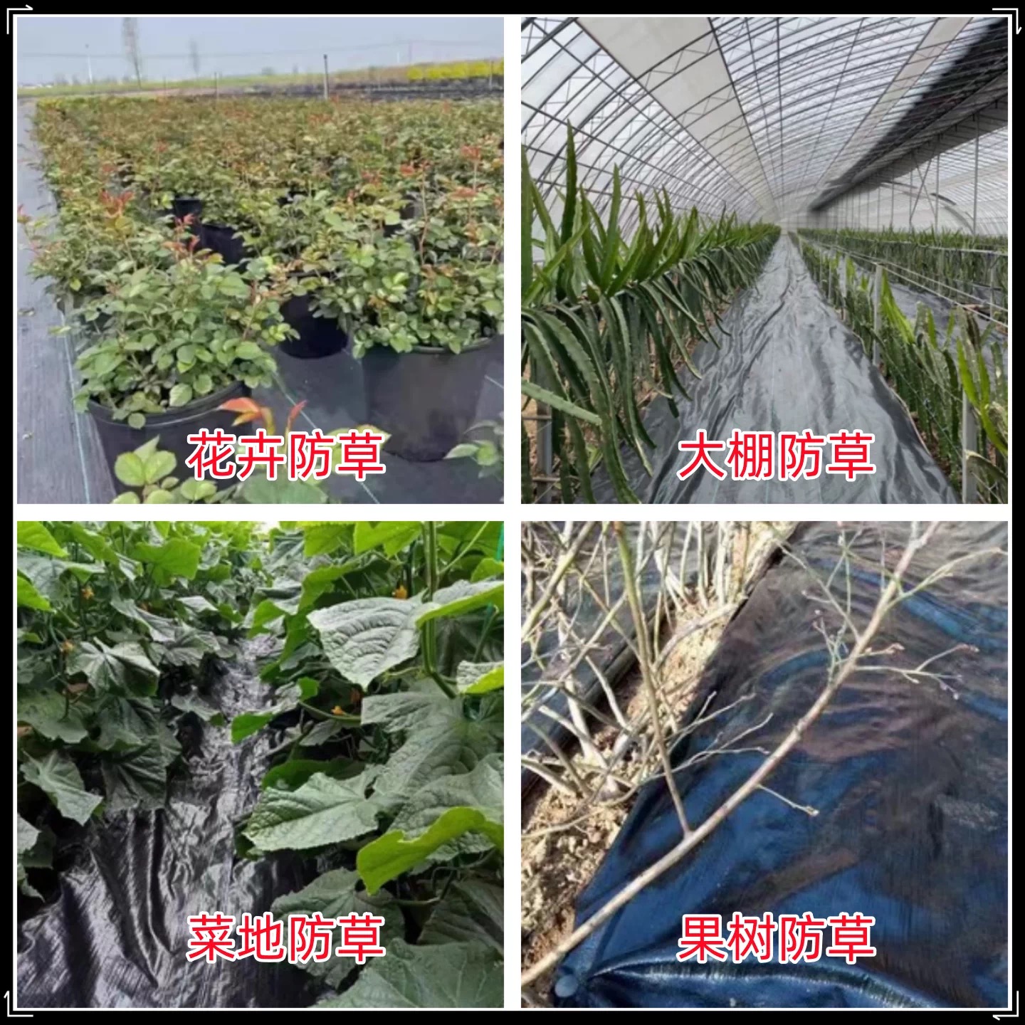 西安市农用薄膜防草布 - 哪里好