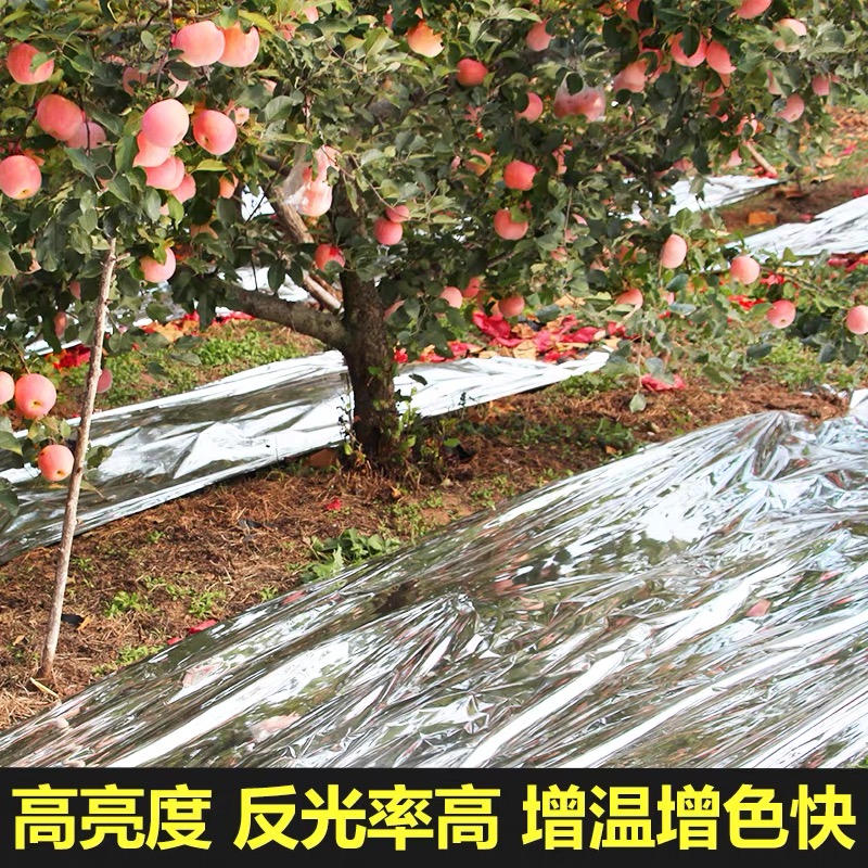 西安市地膜果树反光膜 - 排名